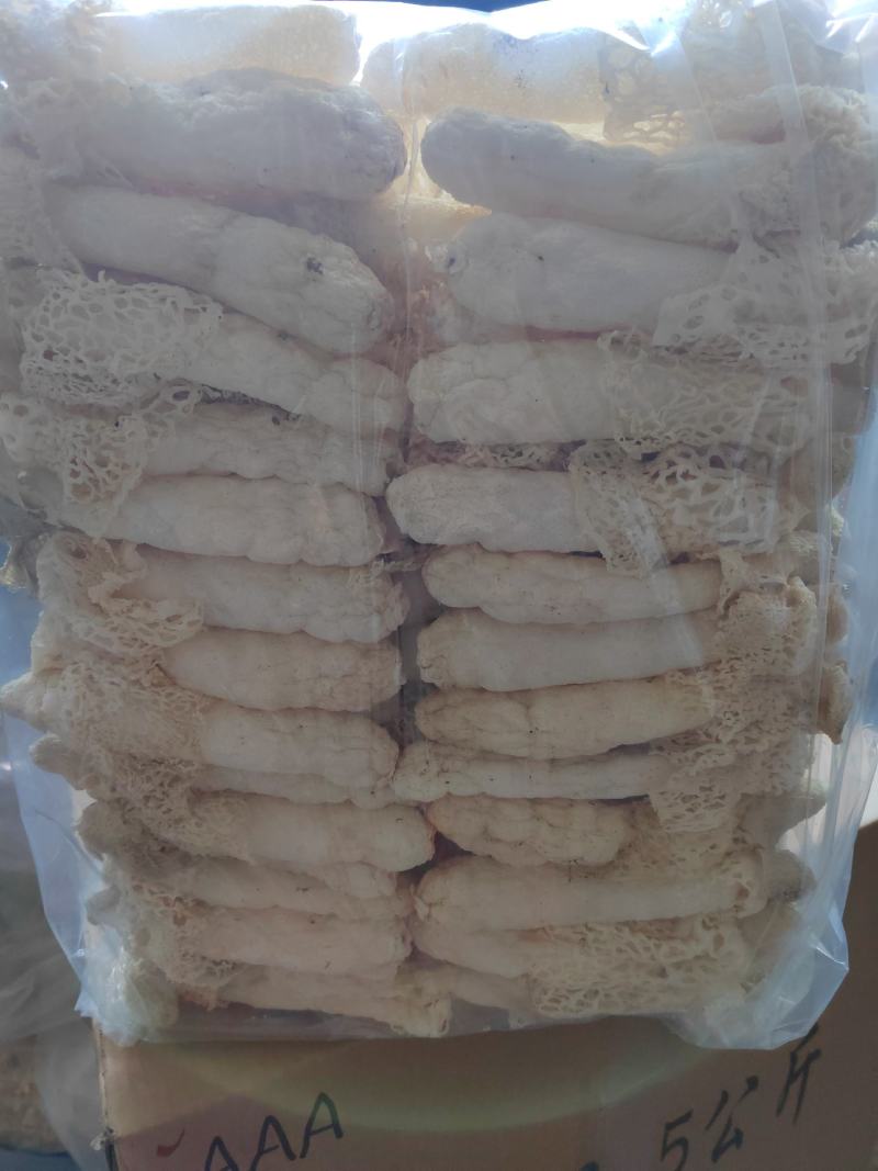 红托竹荪13-15
