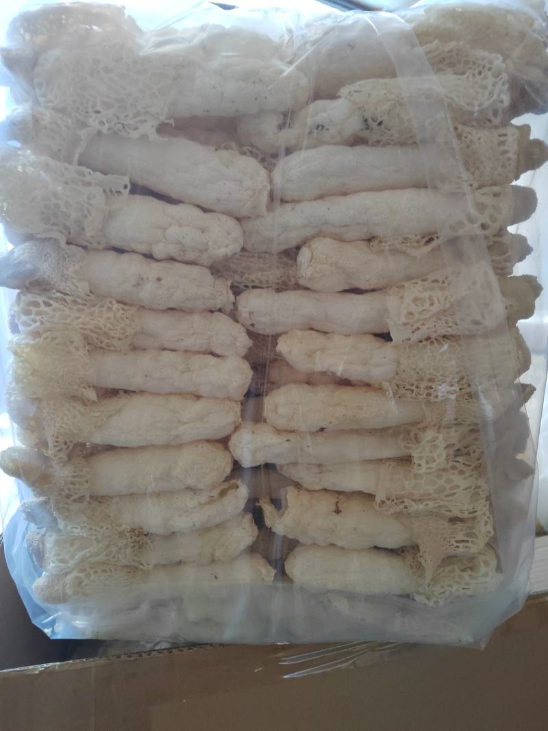 红托竹荪13-15