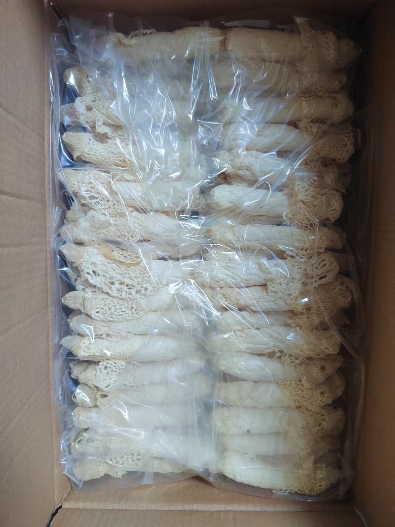 红托竹荪13-15