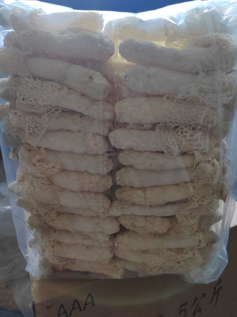 红托竹荪13-15