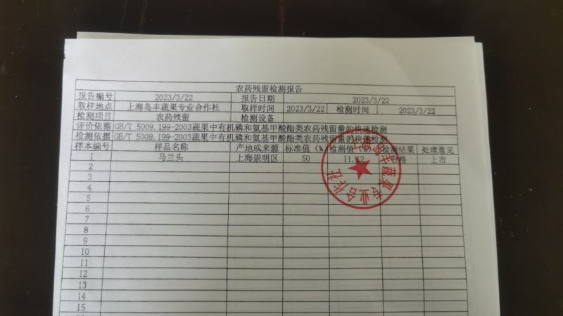 马兰头