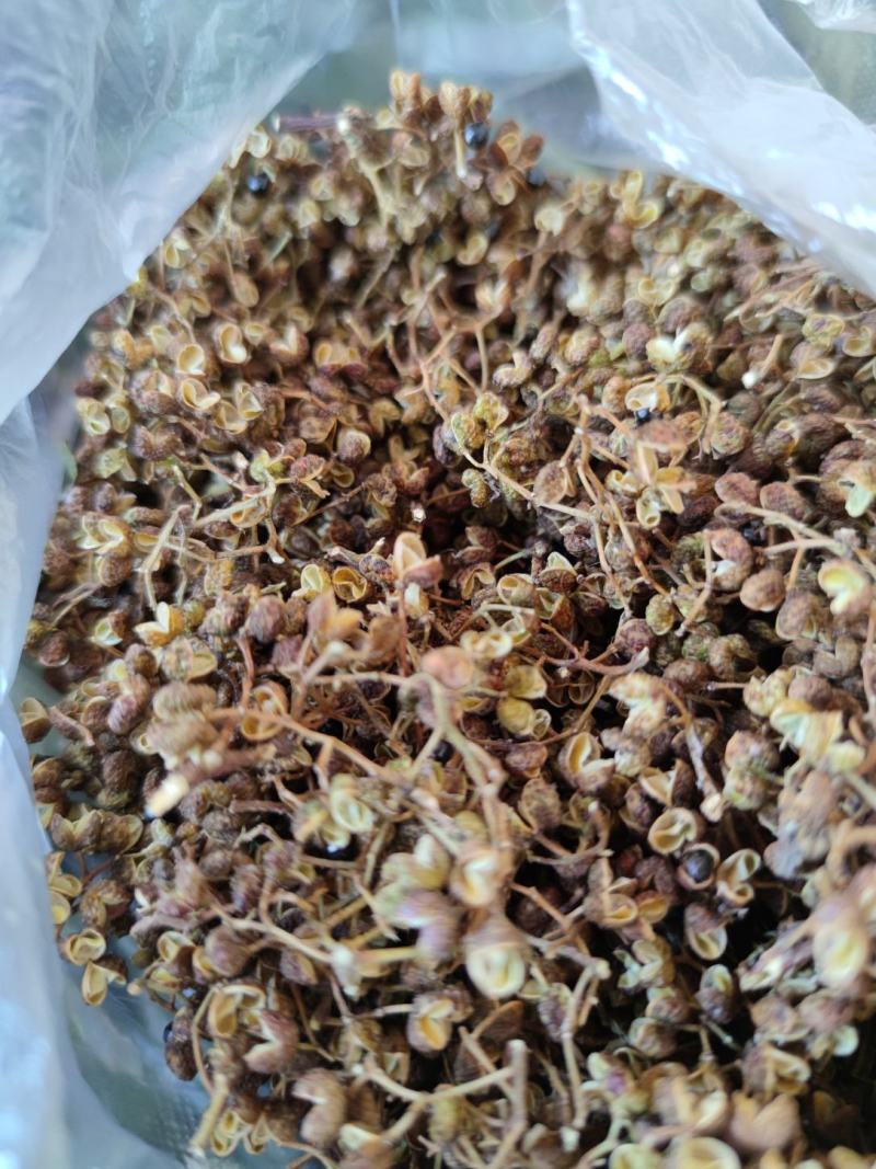 湖北的本地老辈传下的品种小麻椒！又香又麻无杆无叶可以真空