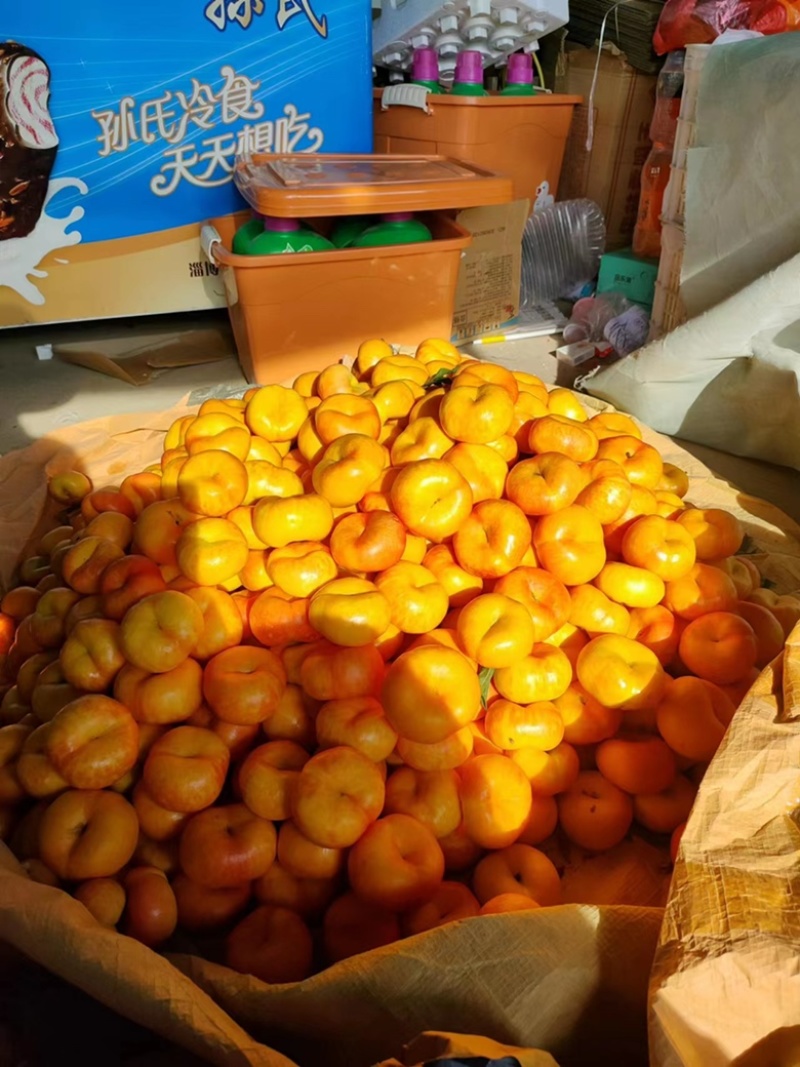 彩虹油蟠桃也可一件代发