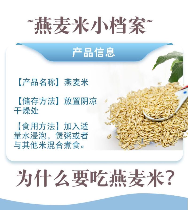 新货燕麦米5斤农家自种燕麦仁荞麦米全胚芽燕麦五谷杂粮粗