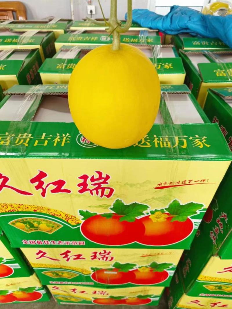 黄皮久红瑞