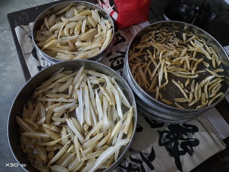 贵州野生天冬，自己挖采