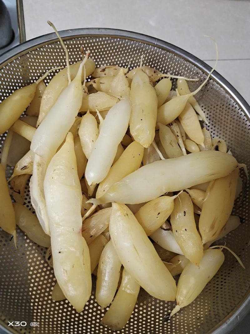 贵州野生天冬，自己挖采