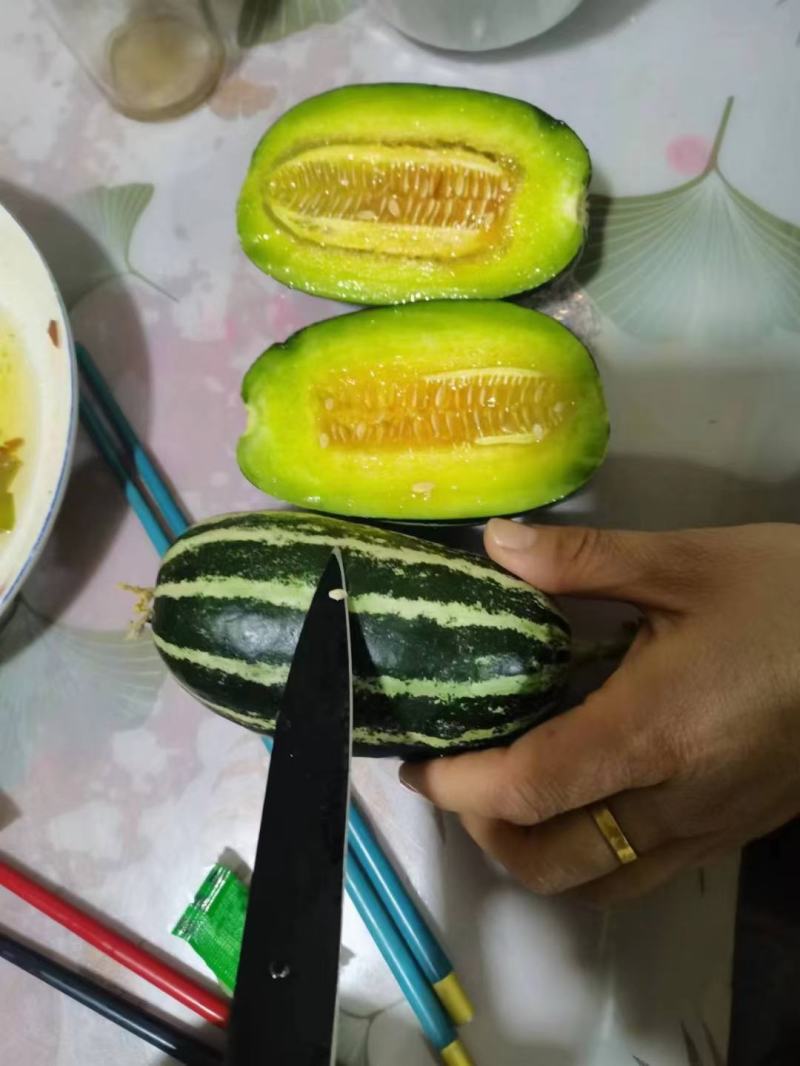 山东博洋61甜瓜惠民甜瓜现货质量优可视频看货欢迎选