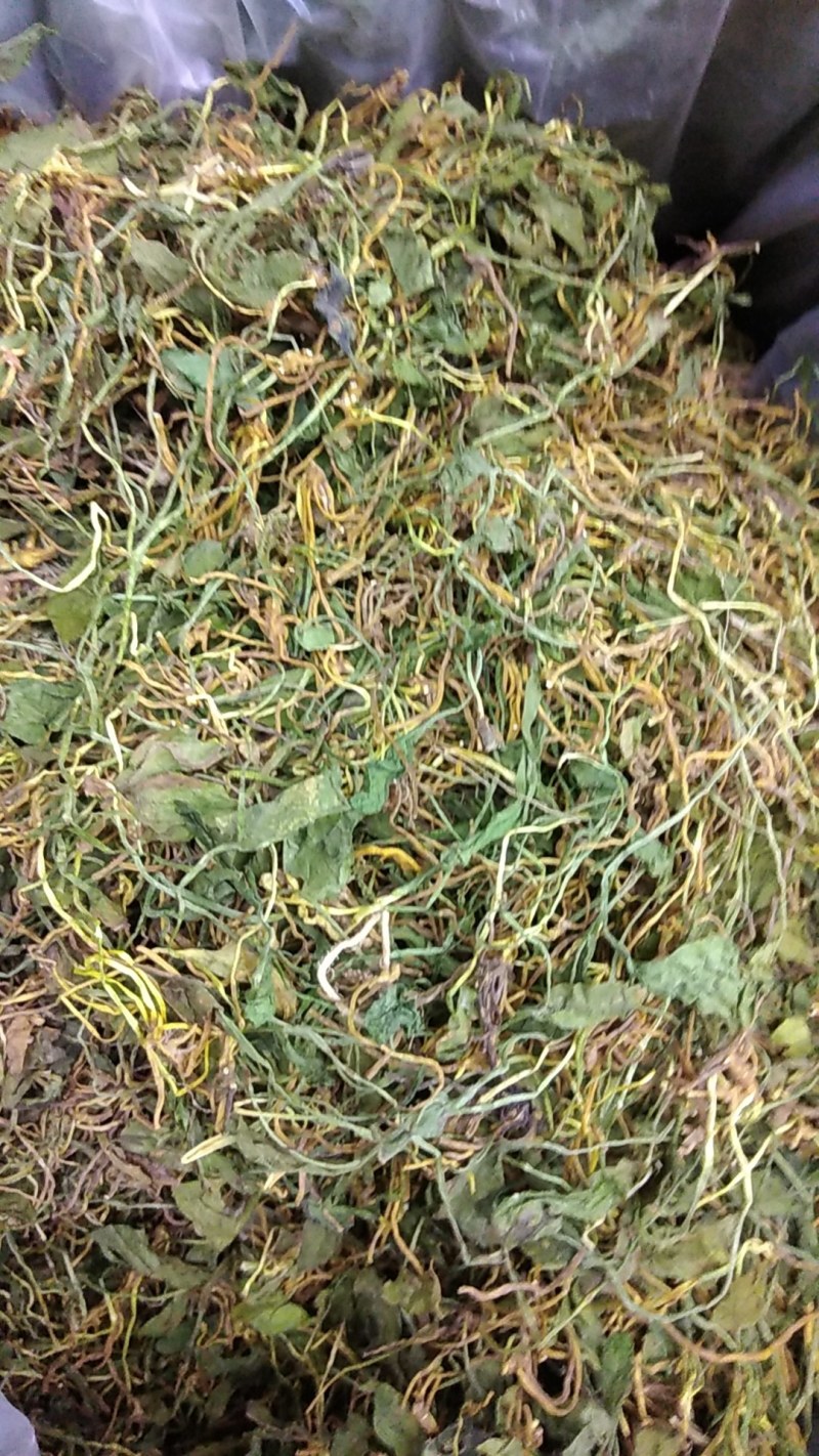 一支箭