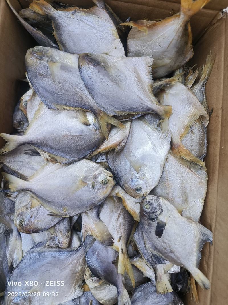 咸鱼银鲳鱼，平鱼鱼，海鱼干，肉质鲜美跑江湖赶大集电商拼单