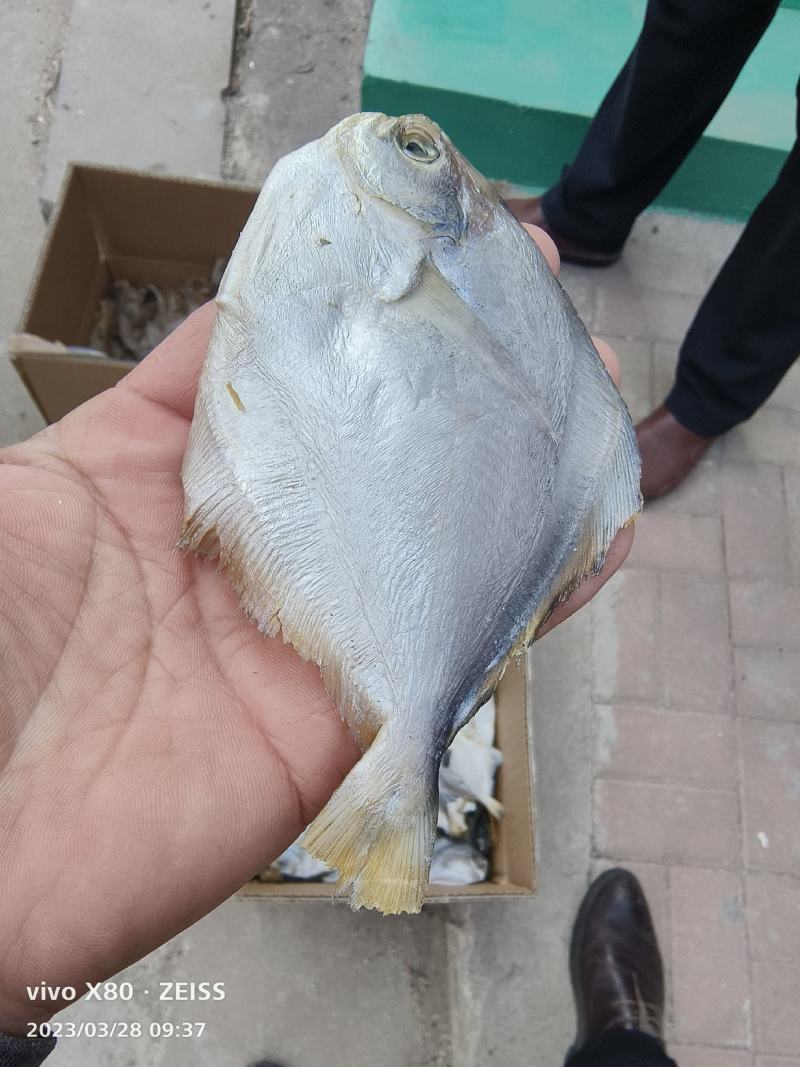 咸鱼银鲳鱼，平鱼鱼，海鱼干，肉质鲜美跑江湖赶大集电商拼单