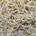 鲜牛肚丝长期供应一手货源供应餐饮电商市场