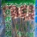 望京小腰，烧烤食材，一件200串，价格低，大量现货。