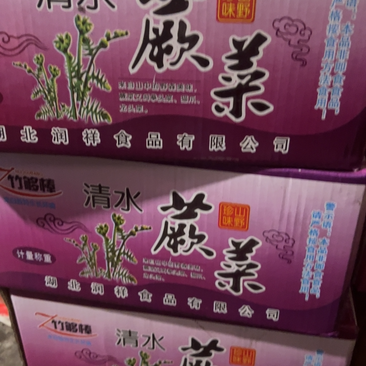 清水蕨菜精品蕨菜厂家发货超市电商团购批发一件代发