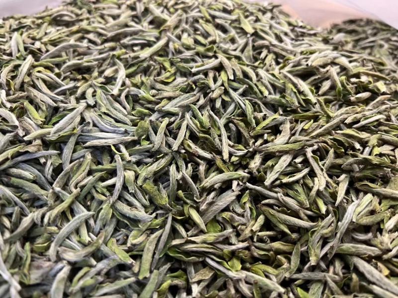 福鼎白茶