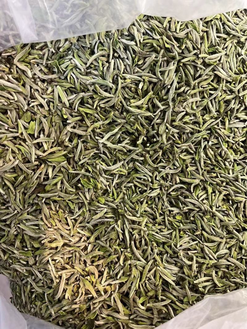 福鼎白茶