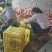 甘肃天水精品桃子仙桃大量上市货源充足品质好