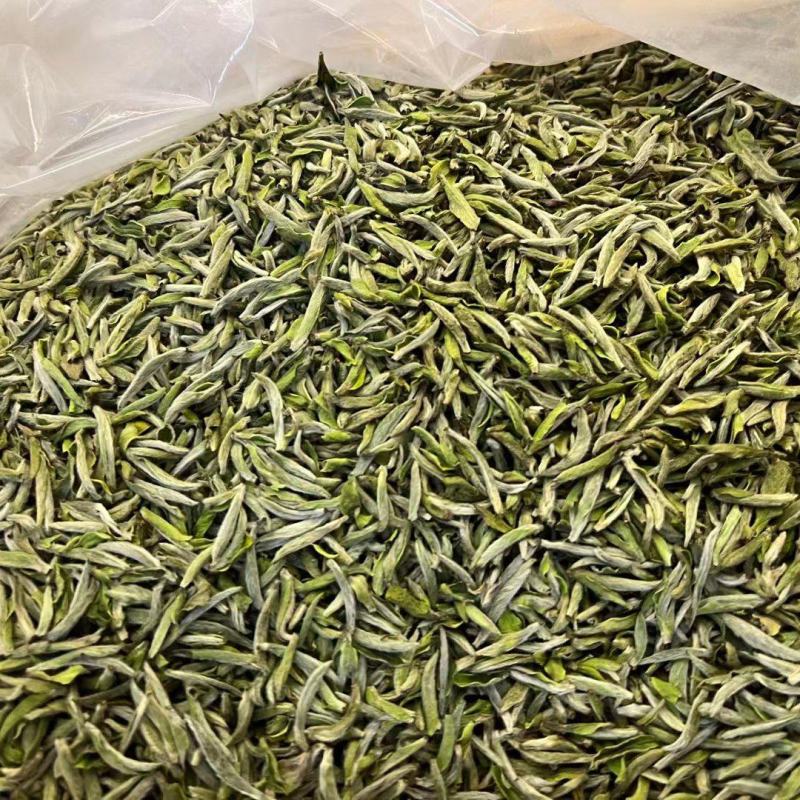 福鼎白茶