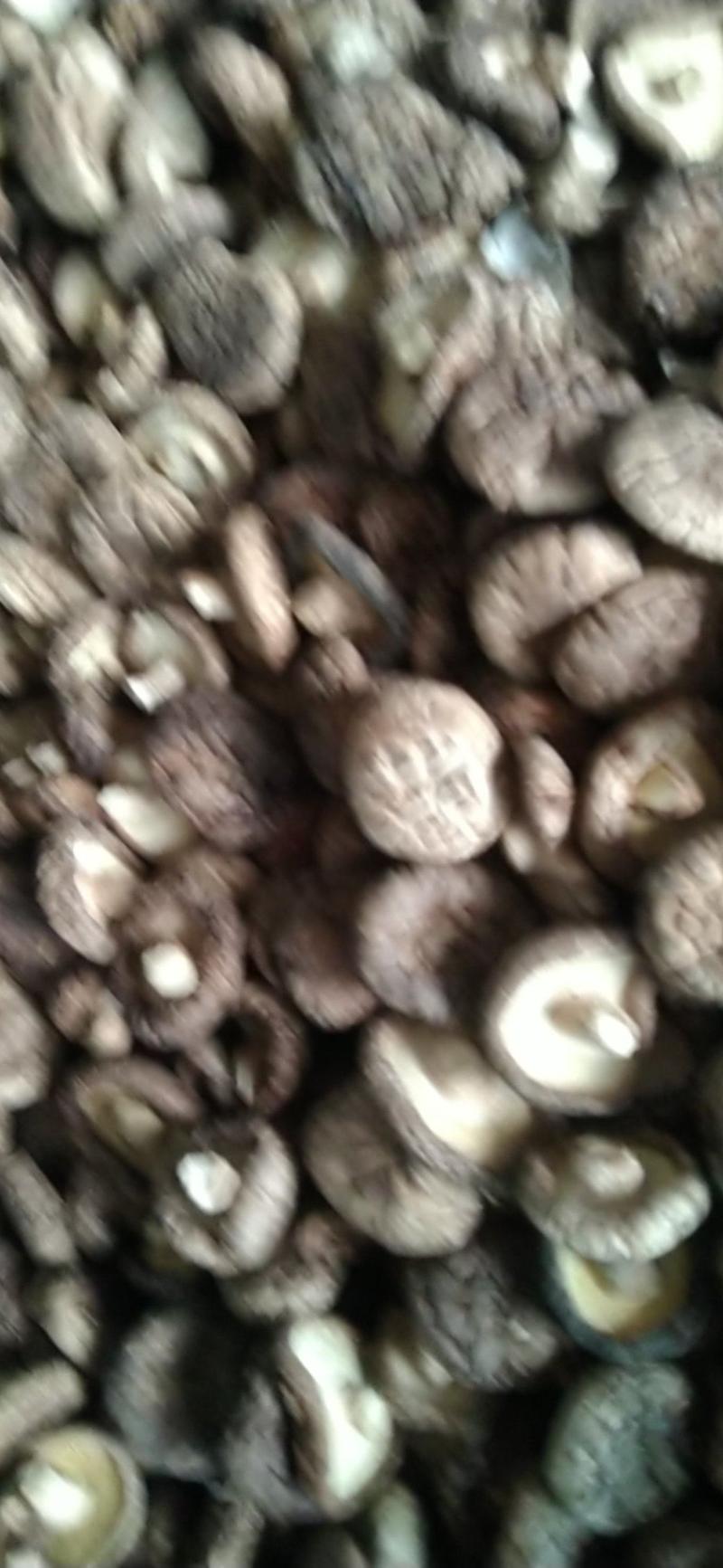 今年新菇上市河北香菇，常年有货，提供一体龙服务