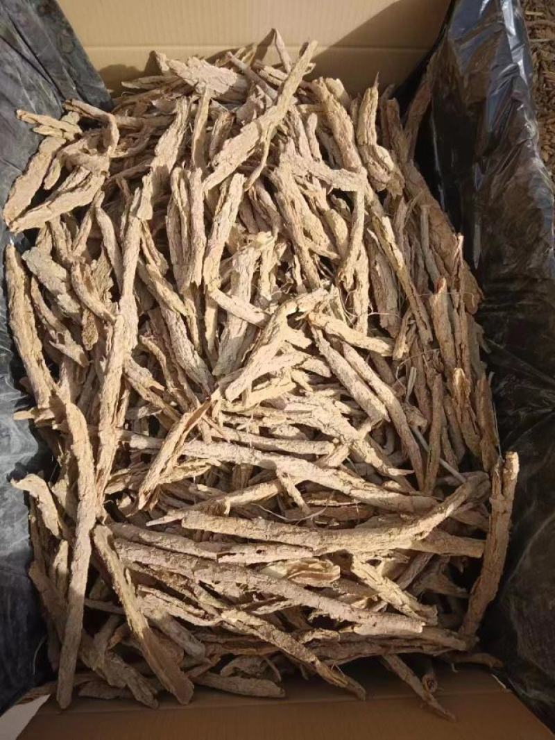 地骨皮