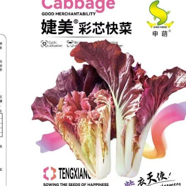 彩芯快菜种子500粒