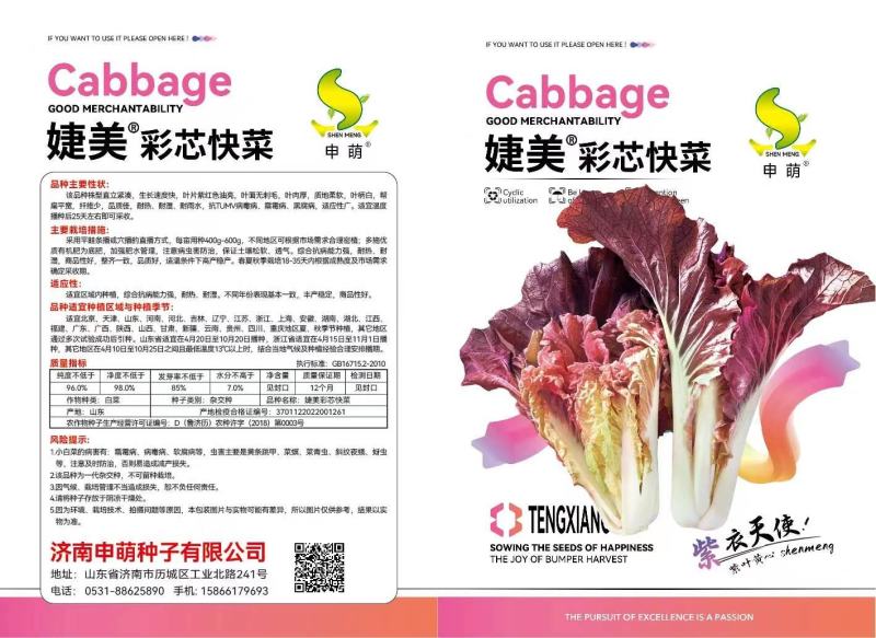 彩芯快菜种子，500粒杂交，叶片紫红油亮