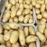 河南土豆精品沃土土豆大量上货产地直供量大从优