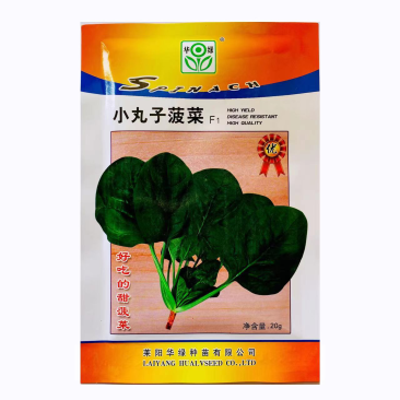 菠菜种子墨绿色菠菜品种种子