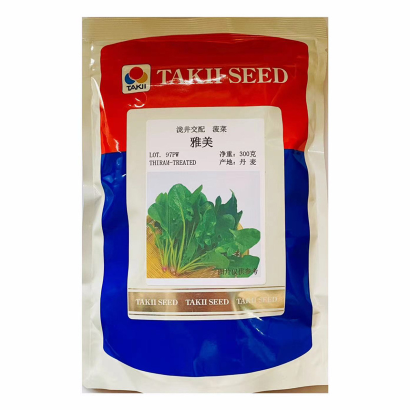 菠菜种子墨绿色菠菜品种种子