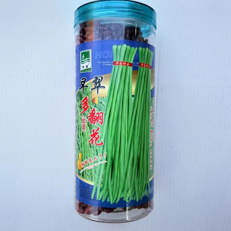豇豆种子翠绿色品种
