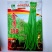 豇豆种子翠绿色品种