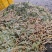 玉米大吨位供应价格美丽诚信合作欢迎客商来电咨询
