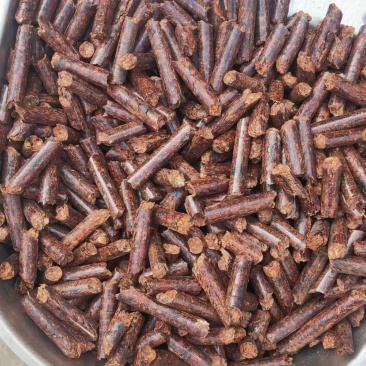 生物颗粒