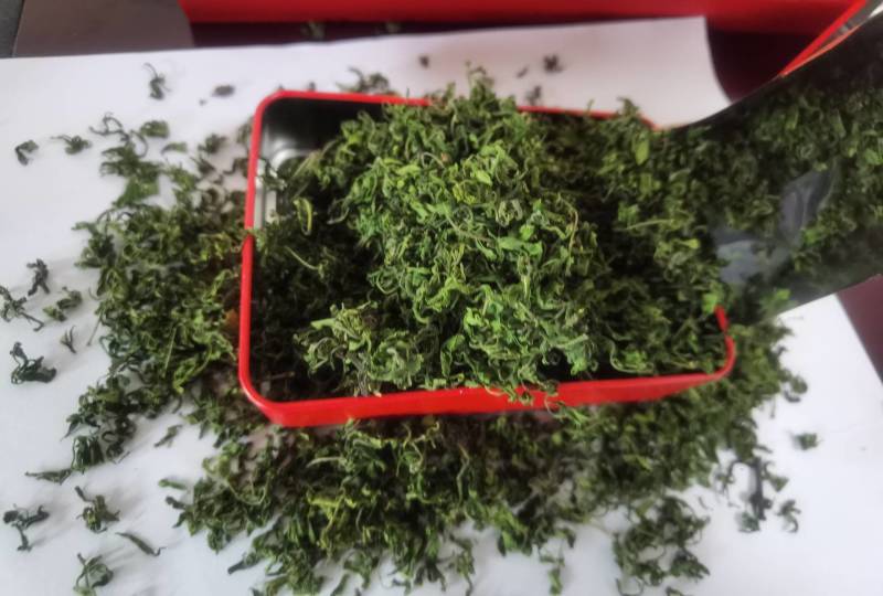 道地产地自产自销！品自然之味，就选枣灵酸枣芽茶！
