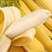 香蕉[云南香蕉][海南香蕉]大量现货，发全国，口感软糯