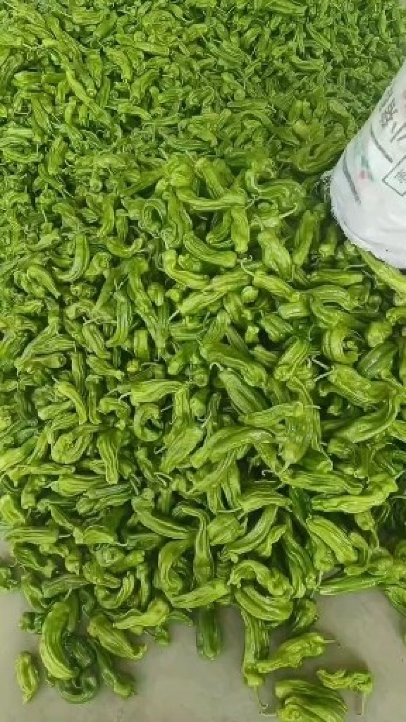 黄皮尖椒大量供应代收代发全国各地