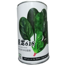 墨龙618进口菠菜品种高产耐抽苔品种春秋种植品种种子