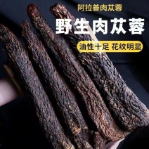 正宗肉苁蓉阿拉善野生切片鲜干片油性肉苁蓉内蒙古大芸泡茶泡