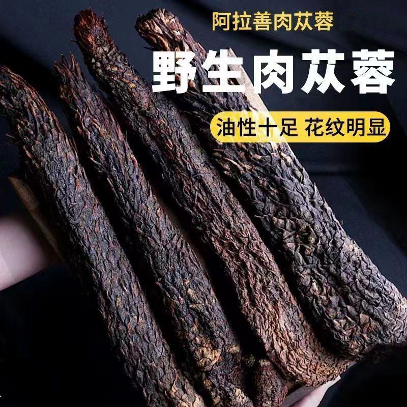 正宗肉苁蓉阿拉善野生切片鲜干片油性肉苁蓉内蒙古大芸泡茶泡