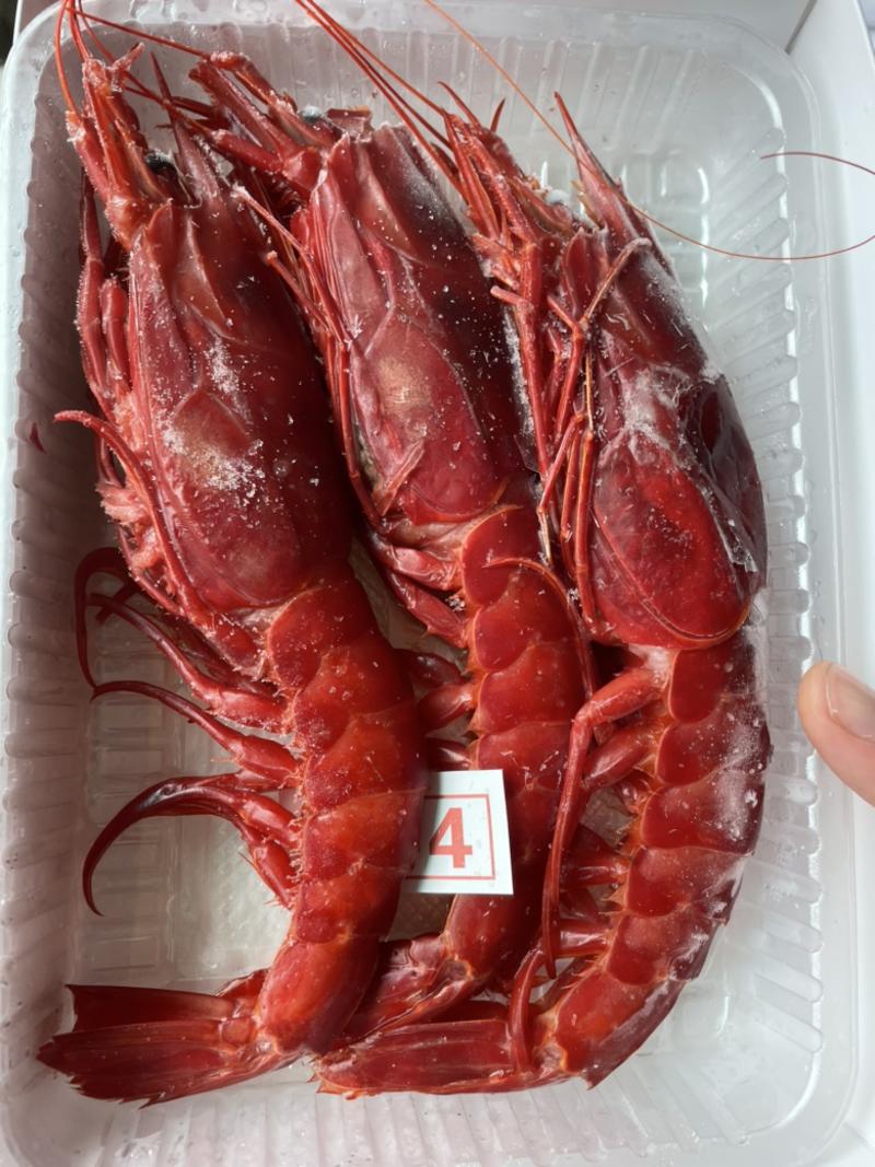 红魔虾