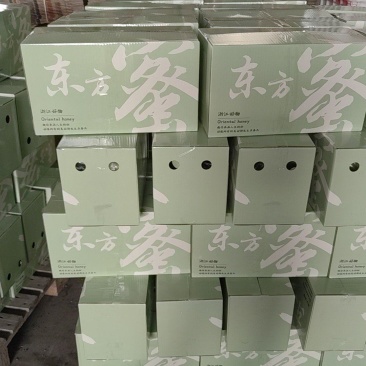 东方蜜甜瓜4.5斤快递包邮东方蜜甜瓜4.5斤快递包邮