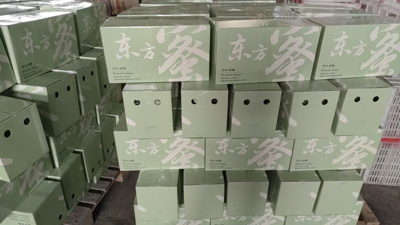 东方蜜甜瓜4.5斤快递包邮东方蜜甜瓜4.5斤快递包邮