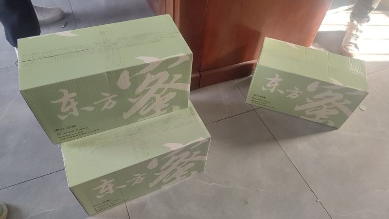 东方蜜甜瓜4.5斤快递包邮东方蜜甜瓜4.5斤快递包邮