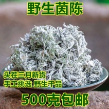 中药材精选茵陈无硫绵茵陈茵泡茶泡水野生茵陈500克包邮