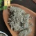 中药材精选茵陈无硫绵茵陈茵泡茶泡水野生茵陈500克包邮