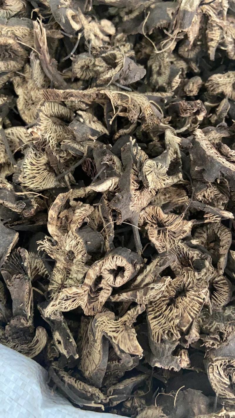 升麻天然纯新货中药材升麻片周升麻鸡骨升麻包邮