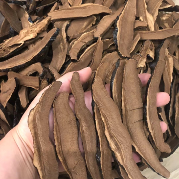 精选灵芝片切片灵芝干货货源充足现货直发需要的老板欢迎联系