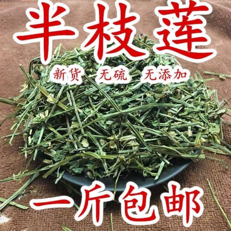 中药材批发半支莲半枝莲挖耳草通经草可搭配白花蛇舌草包邮包