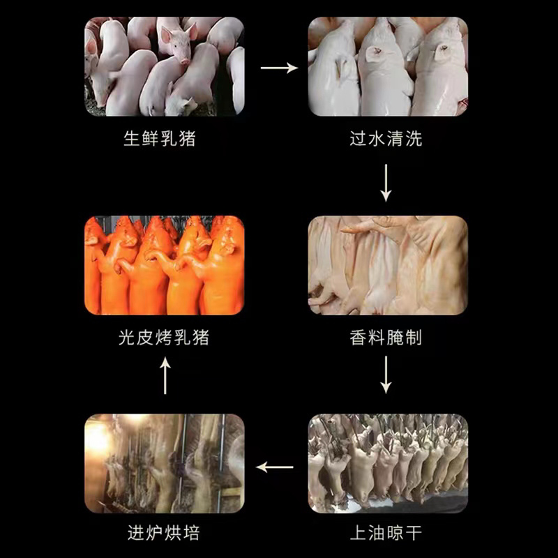 冻乳猪，江苏乳猪。厂家直销，一手货源，全国发货