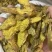 黄藤根大黄藤黄莲藤大黄腾藤黄连黄连藤黄滕正品